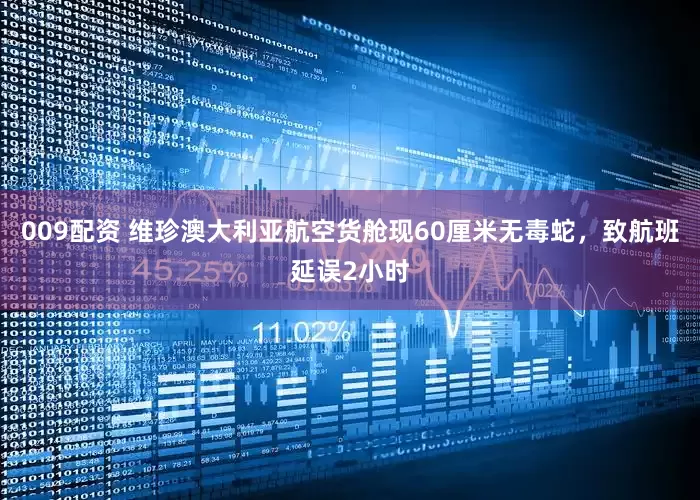 009配资 维珍澳大利亚航空货舱现60厘米无毒蛇，致航班延误2小时